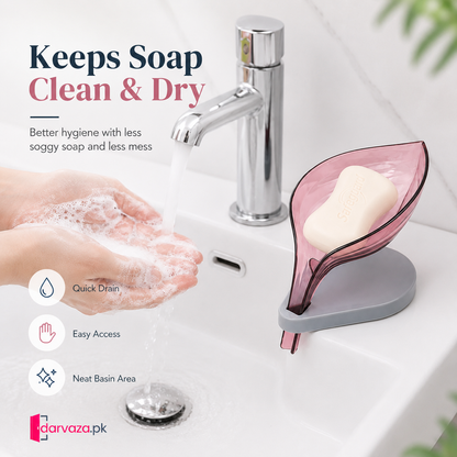 Pack of 5 Self Draining Leaf Shape Soap Holders